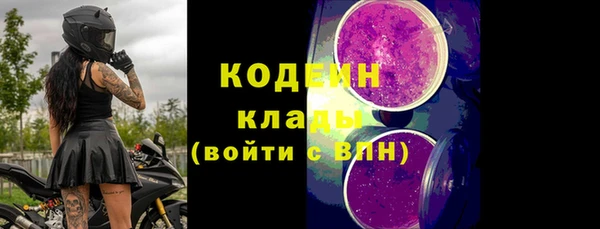 гидра Надым