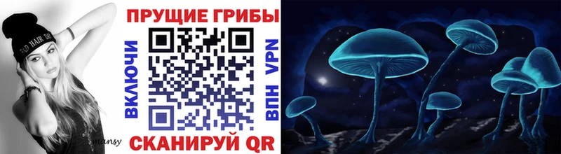 Псилоцибиновые грибы MAGIC MUSHROOMS  Богучар 